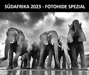 Südafrika - Fotohidetour Spezial